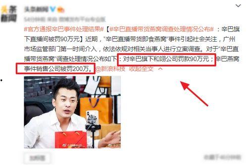 辛巴母亲爆料视频大全集,揭秘辛巴家族背后的真相 第2张 辛巴母亲爆料视频大全集,揭秘辛巴家族背后的真相 第2张