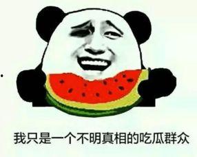 武都网红吃瓜群众是谁啊,揭秘武都网红“吃瓜群众”的真实身份  第2张