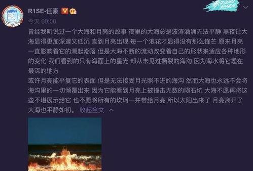 大海爆料录音视频,事件真相大起底  第3张