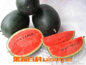 黑料社网红吃瓜,揭秘娱乐圈背后的惊人真相  第3张