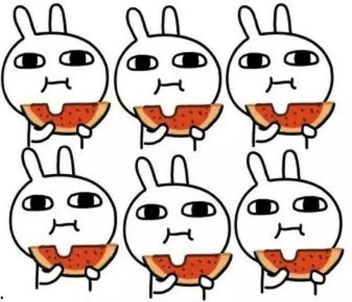 娱乐吃瓜喵不务正业版